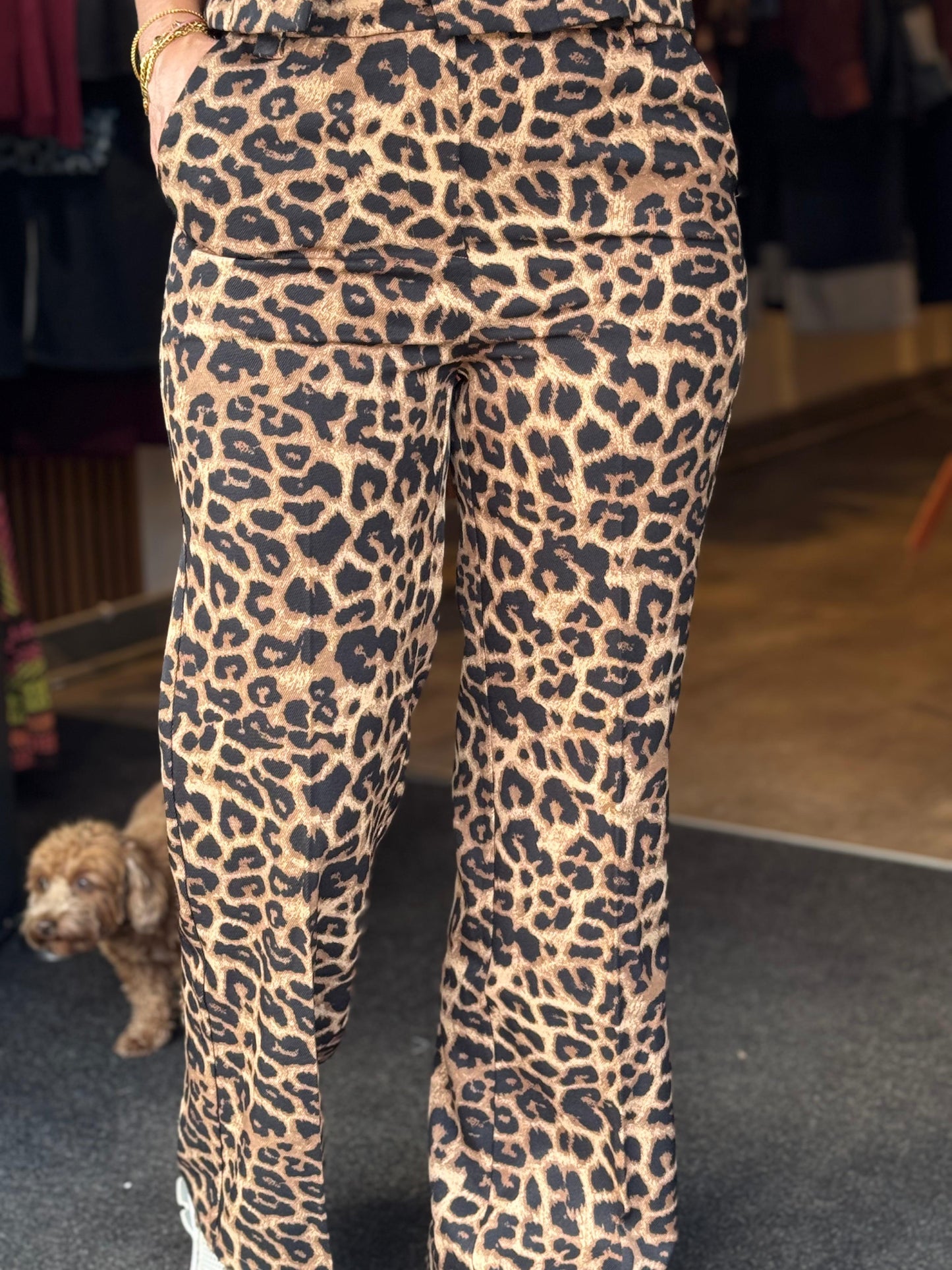 Savanna Broek / 🐆